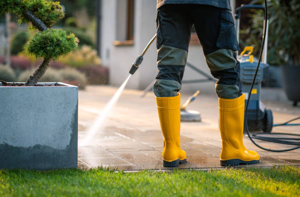 Best Deck Cleaning Services  in Macdonnell Heights, NY